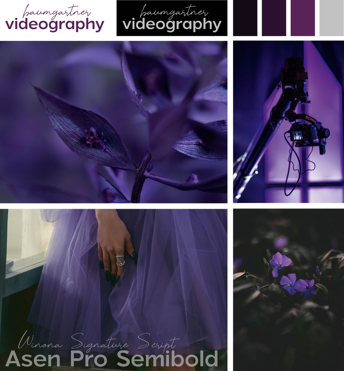 Branding for baumgartner videography